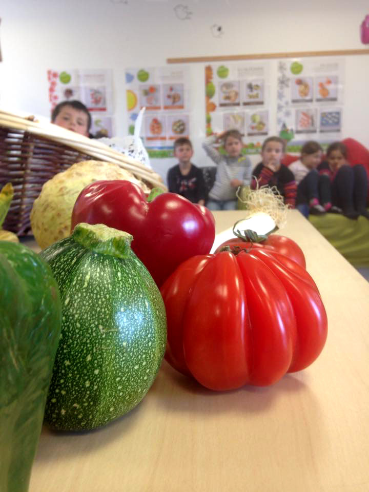 classe-decouverte-gout (3)