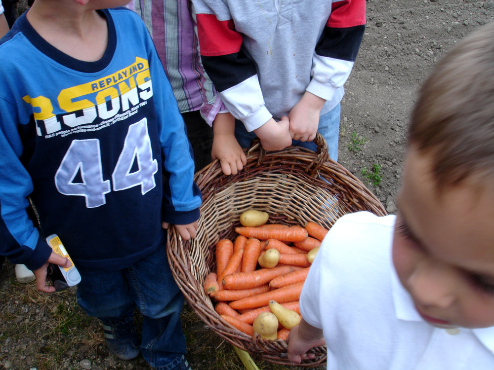 classe-decouverte-gout (7)