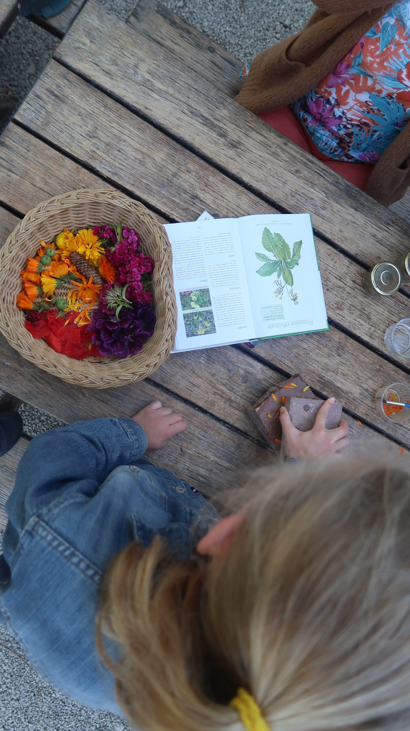 weekend-famille-plantes weekend-famille-plantes