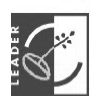 union européenne leader