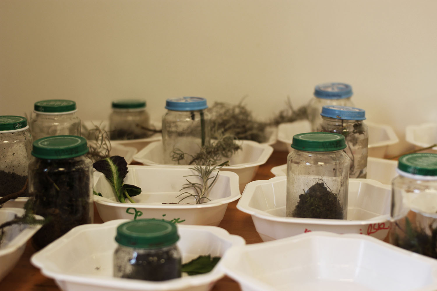 classe goût classe goût