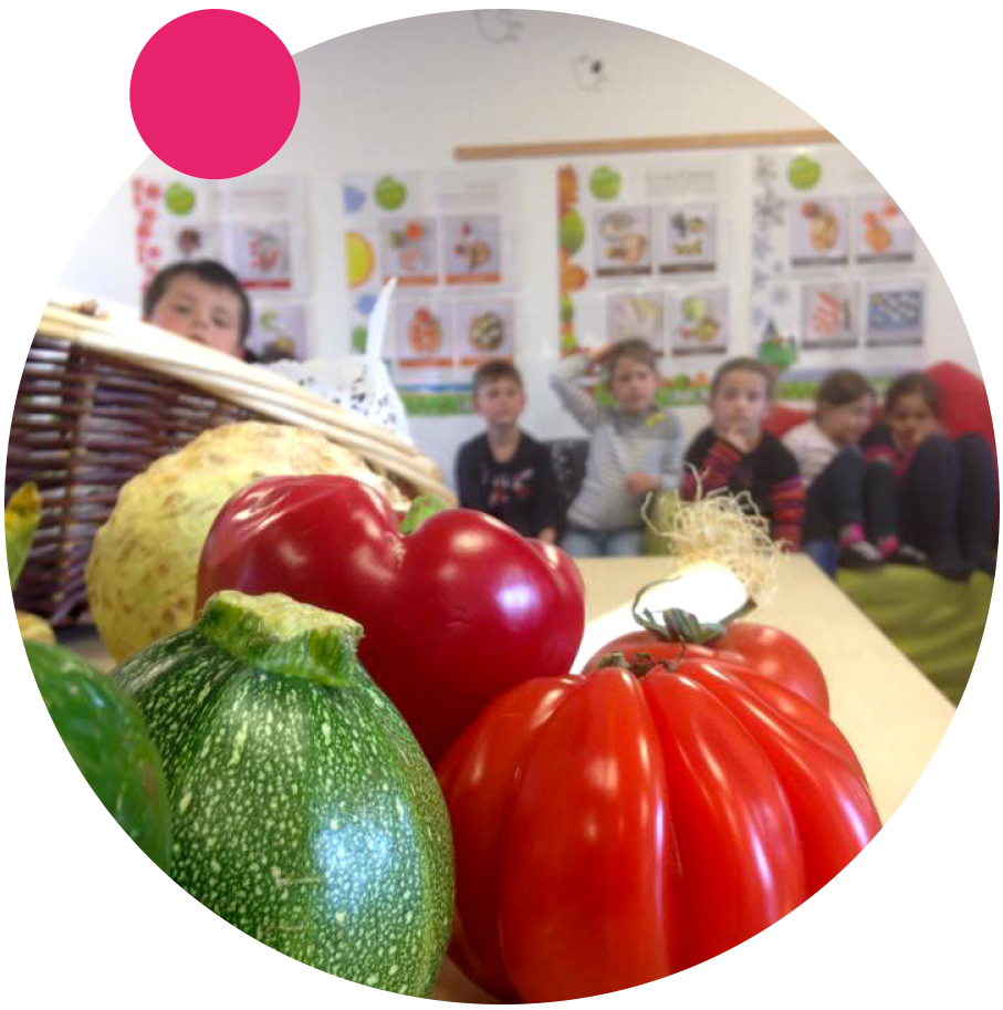 classe découverte gout classe découverte gout