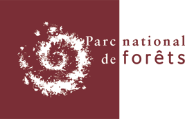 parc-national-foret