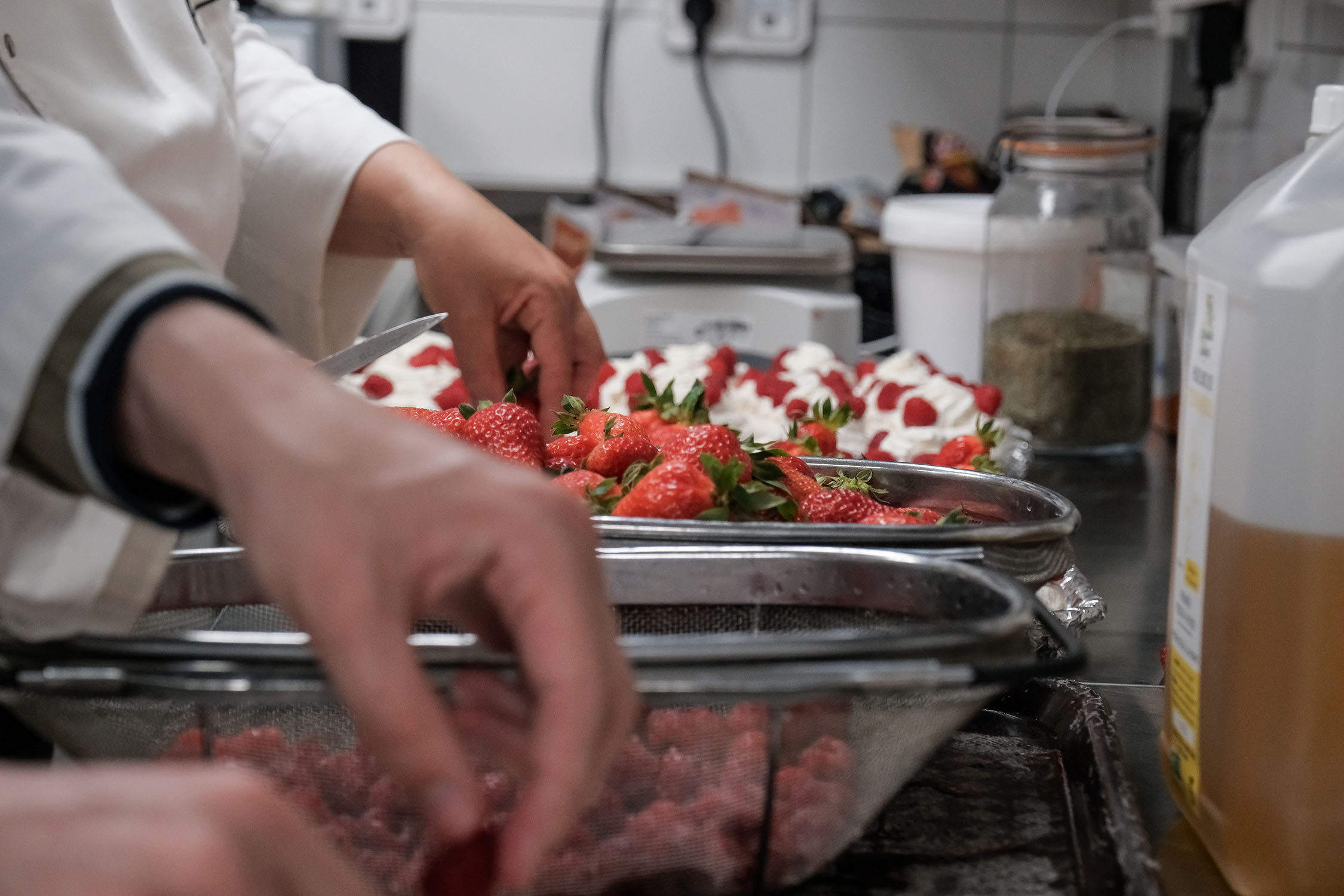 projet alimentaire projet alimentaire